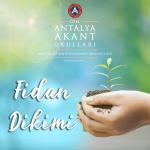 Fidan Dikimi